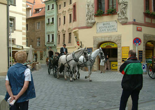 Horse-drawn carriage touring Prague