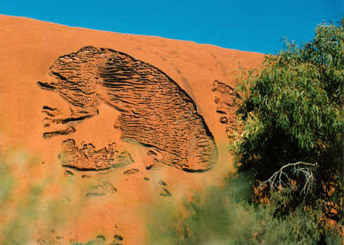 The Brain, Ayers Rock