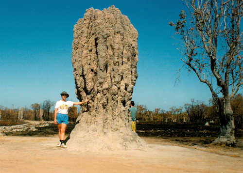 Termite Mound bigger than a large man!